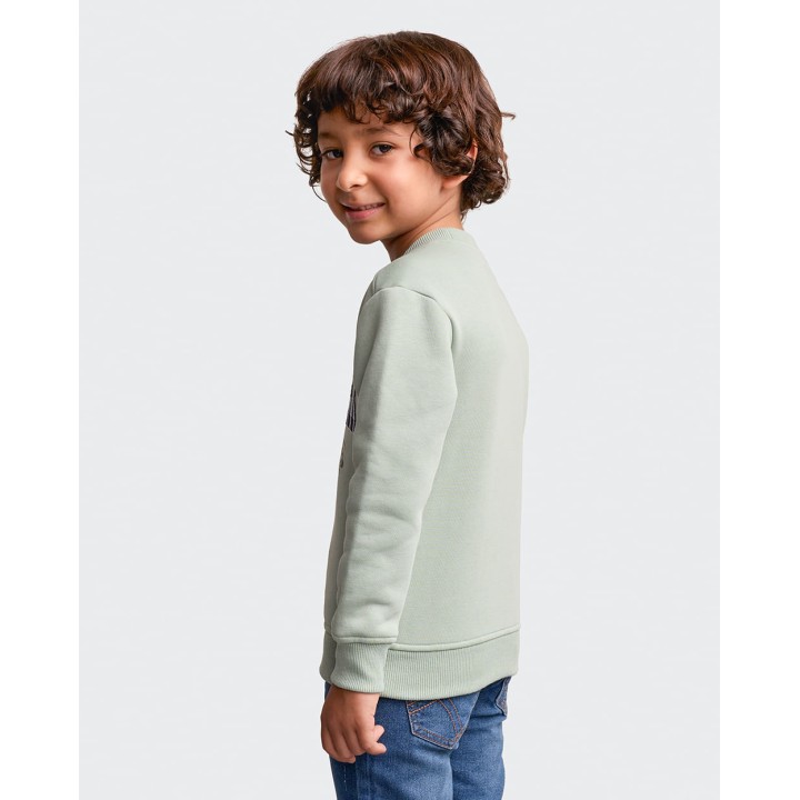 Polera Niño Franklin Verde Lichen