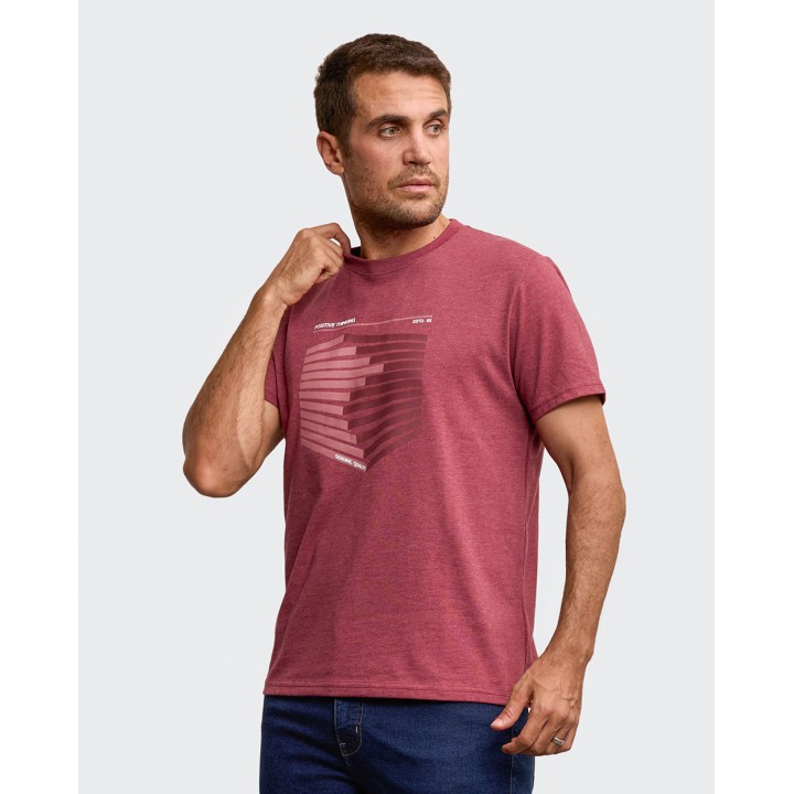 Polo Hombre Ronald Guinda Taw Poly